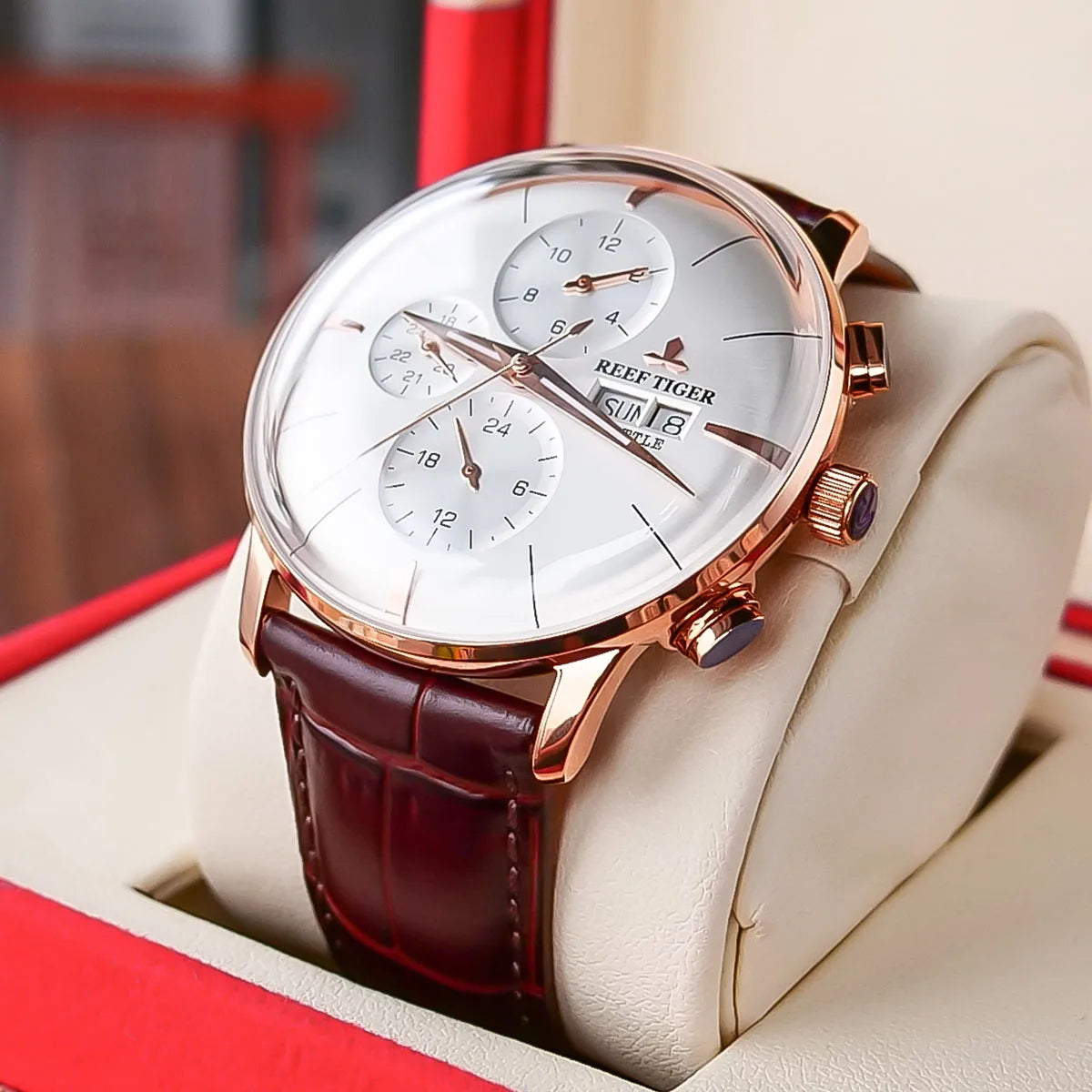 Luxury Automatic Men's Watch