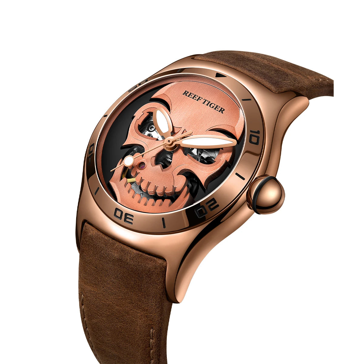 Skull Automatic Mechanical Watch