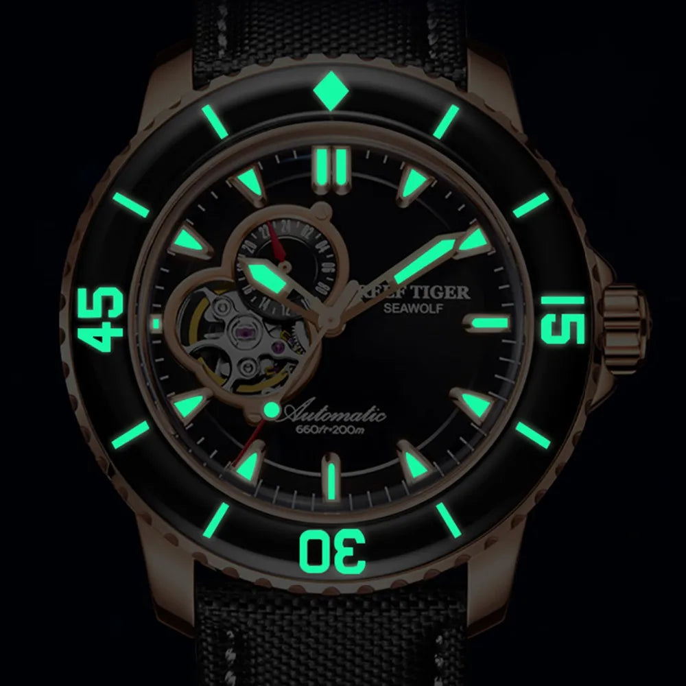 Super Luminous Men's Dive Watch