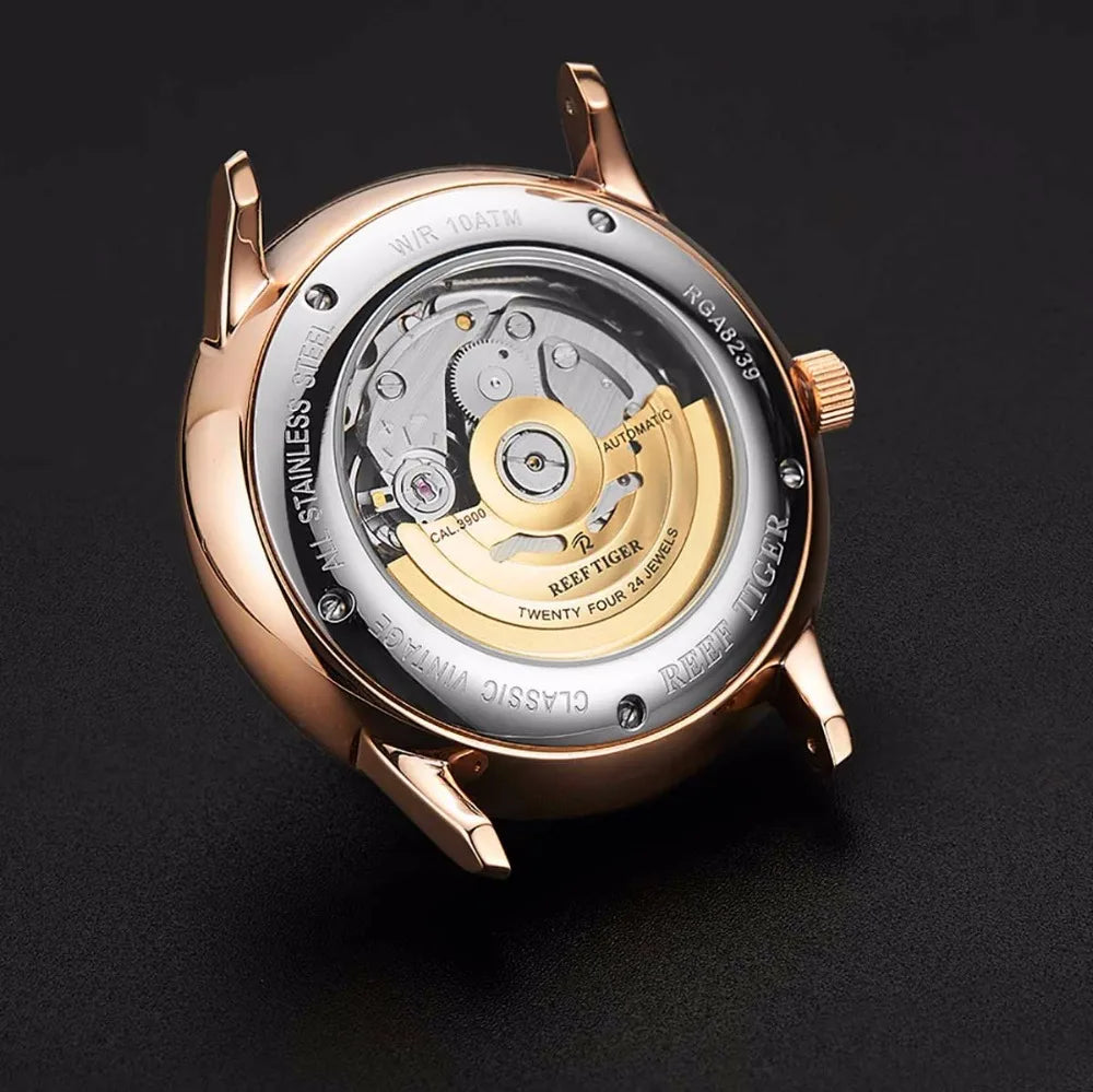 Men's Luxury Automatic Mechanical Watch